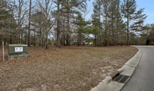 20241203194106977043000000-o