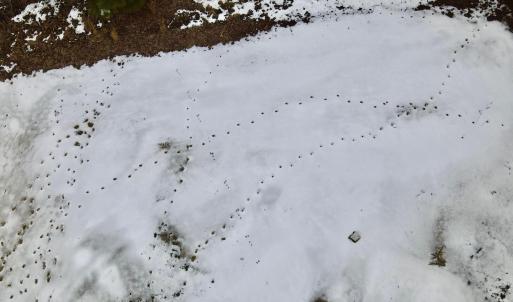 dji_fly_20260205_152612_43_1770323239763