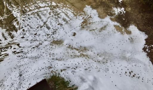 dji_fly_20260205_152618_44_1770323238365