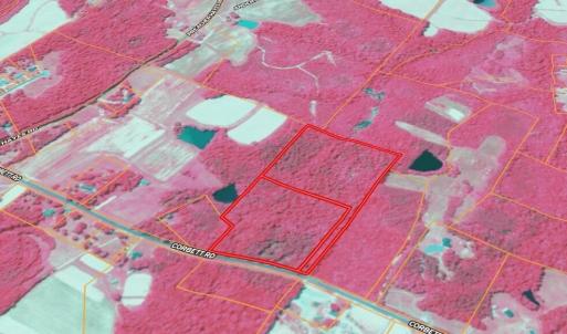 Screenshot_12-2-2026_212926_id.land