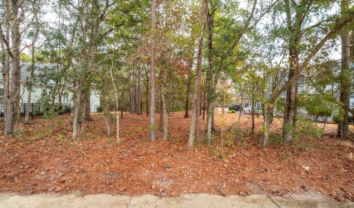 227 RIVERHOUSE RD Ground03