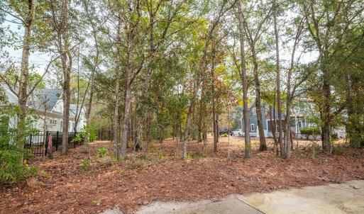 227 RIVERHOUSE RD Ground02