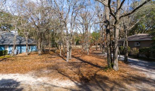 property features minimal tree coverage