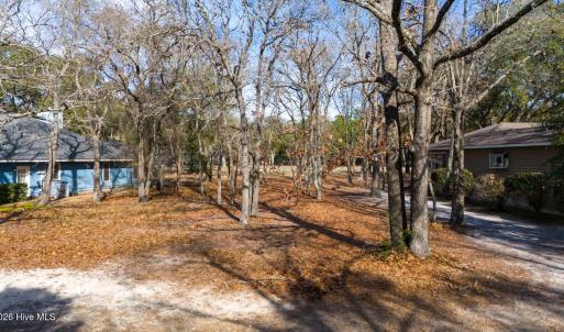 property features minimal tree coverage