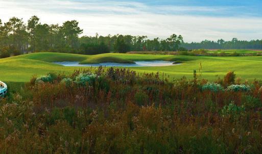 3 GolfCourse