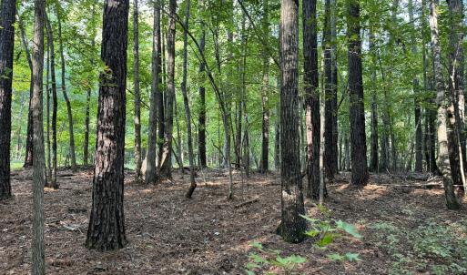 0242AD3A-D22D-4CC5-824D-4A9F80E1CD1C