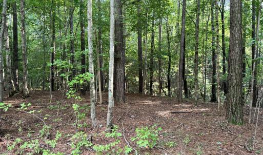 B65F3953-C6A7-486D-9078-21392779CF92