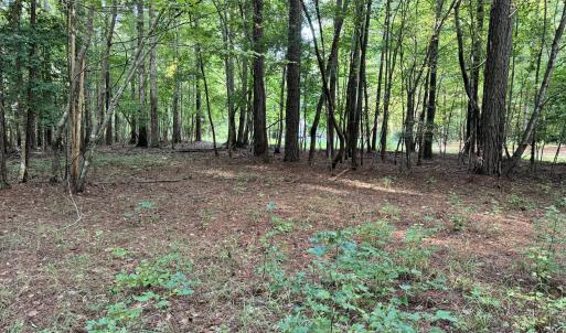 CDB5AC1D-B7DF-49FE-98A6-CEE76714A3B7