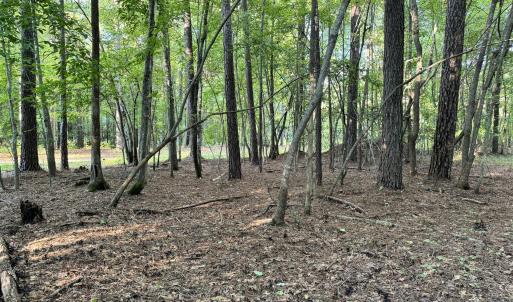 AA7B3945-F19A-47B2-A98E-B712D1595B79