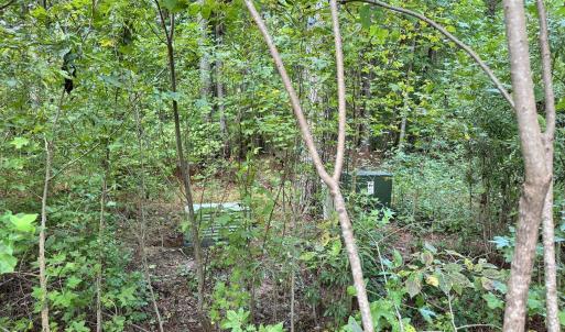 FFFD9938-05BD-446F-A6FE-DAE5DFB57688