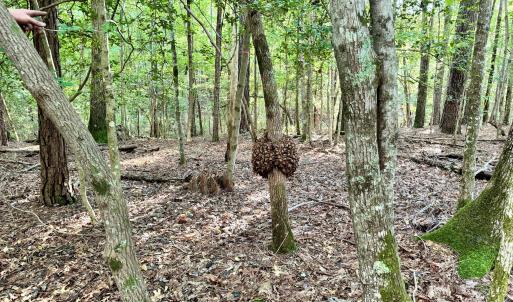 58F412EA-F49D-4AAF-BBE7-46D0ED5960C4_1_2