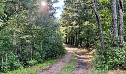 1F01DCA7-2B34-40C3-97A6-77F23A559D70