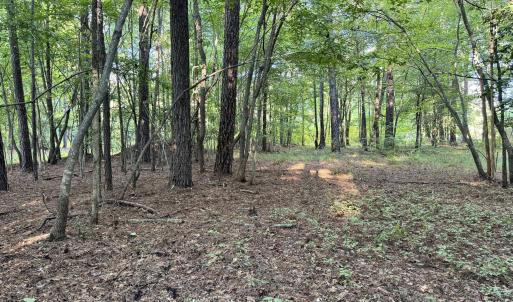 C2D4EC59-041E-4204-B5C7-5279CEFA7EBA