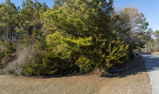 100 Singleton - Aerials - Edited