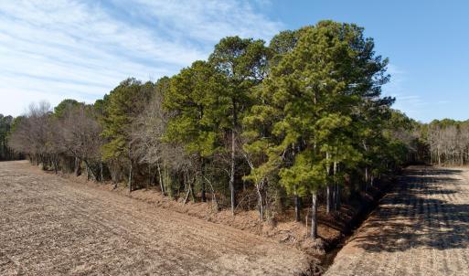 Chowan Smith - 36