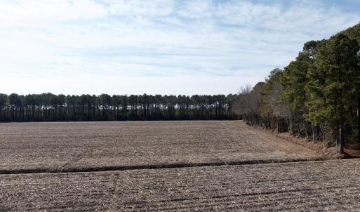 Chowan Smith - 34