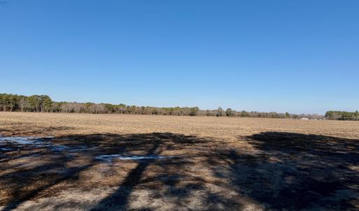 Chowan Smith - 20