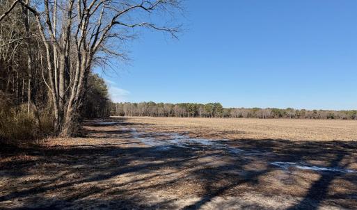 Chowan Smith - 19