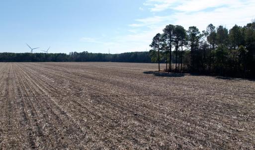 Chowan Smith - 33