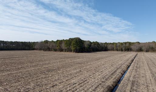 Chowan Smith - 35