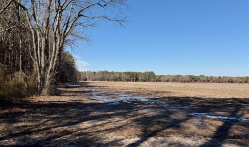 Chowan Smith - 19