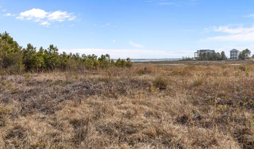 5-web-or-mls-1S3A9917