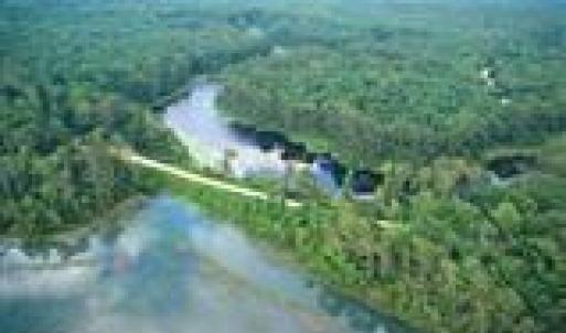 salt water-freah water