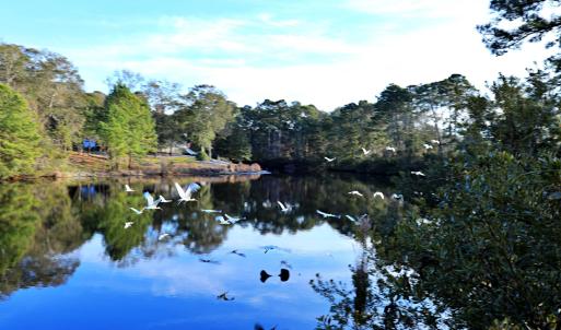 Hewett's Lake