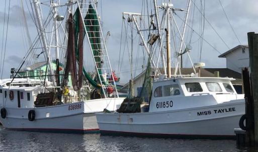 fresh seafood