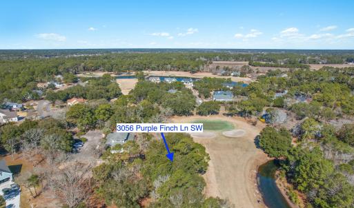 3056PurpleFinchLnSW - 16
