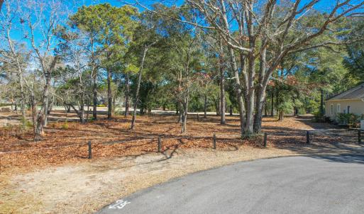 3056PurpleFinchLnSW - 2