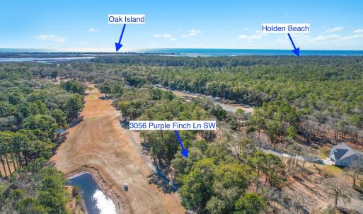 3056PurpleFinchLnSW - 10