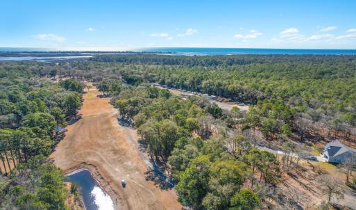 3056PurpleFinchLnSW - 11