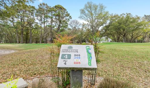 3056PurpleFinchLnSW - 24