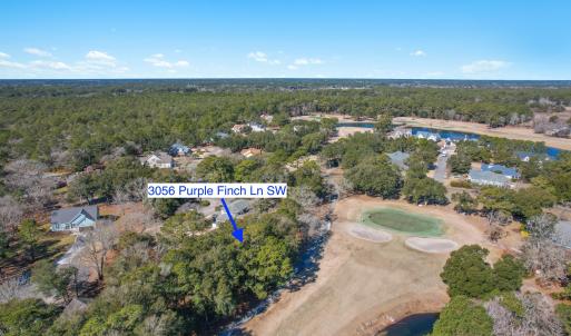 3056PurpleFinchLnSW - 14