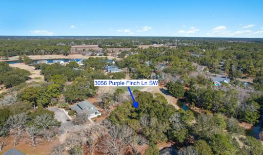 3056PurpleFinchLnSW - 18