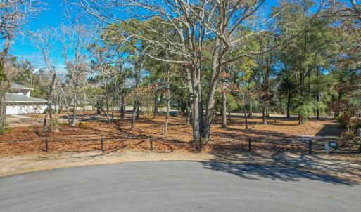 3056PurpleFinchLnSW - 1