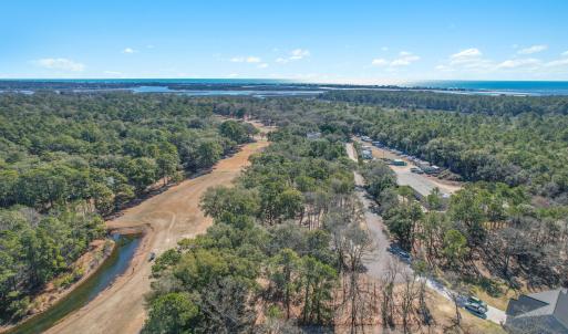 3056PurpleFinchLnSW - 9