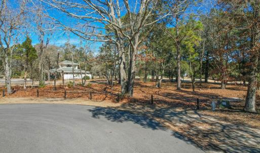 3056PurpleFinchLnSW - 3