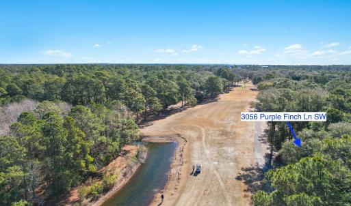 3056PurpleFinchLnSW - 22