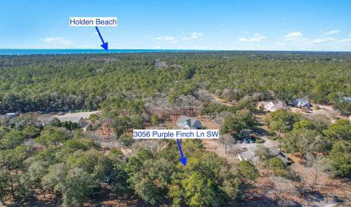 3056PurpleFinchLnSW - 12