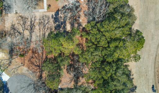 3056PurpleFinchLnSW - 20