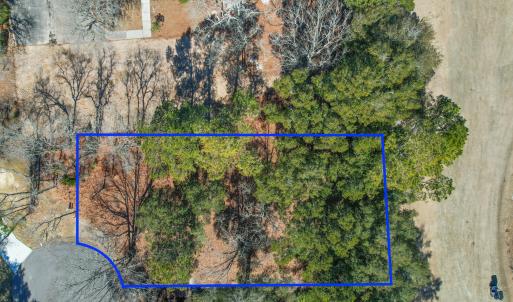 3056PurpleFinchLnSW - 21