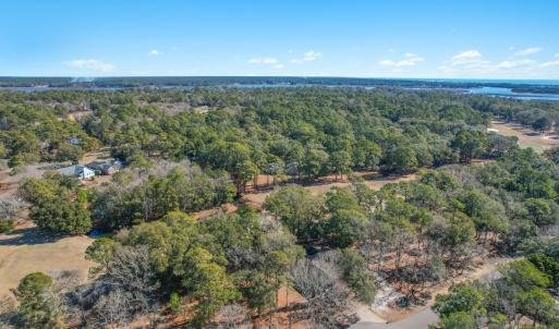 3056PurpleFinchLnSW - 7