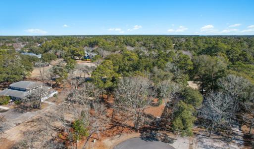 3056PurpleFinchLnSW - 4