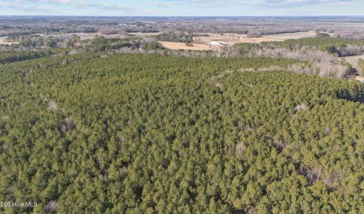 8-web-or-mls-DJI_20260211144342_0267_D