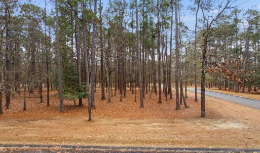 02-DJI_0170-Edit