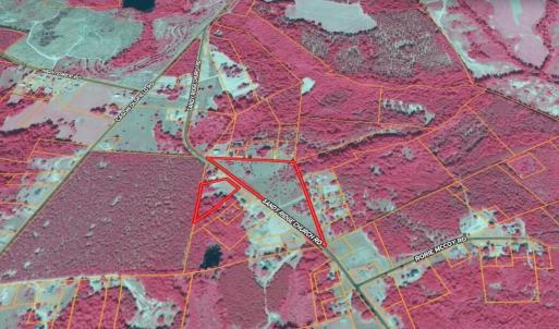 Screenshot_17-2-2026_234444_id.land