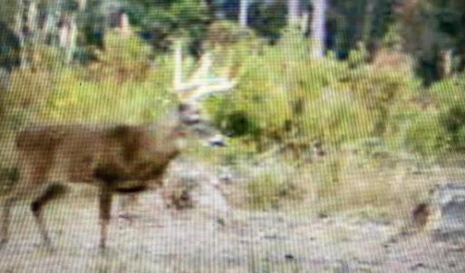 B3527D54-A67C-4521-B096-635979B4C57E-pre