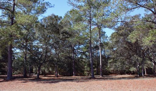 Haddington Place Homesite